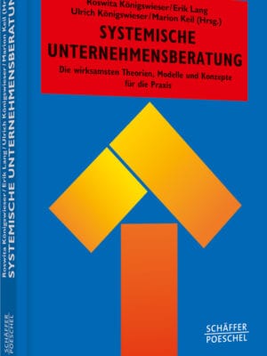 Systemische Unternehmensberatung