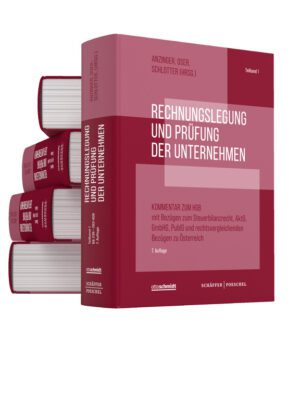 Rechnungslegung und Prüfung der Unternehmen (Gesamtausgabe)