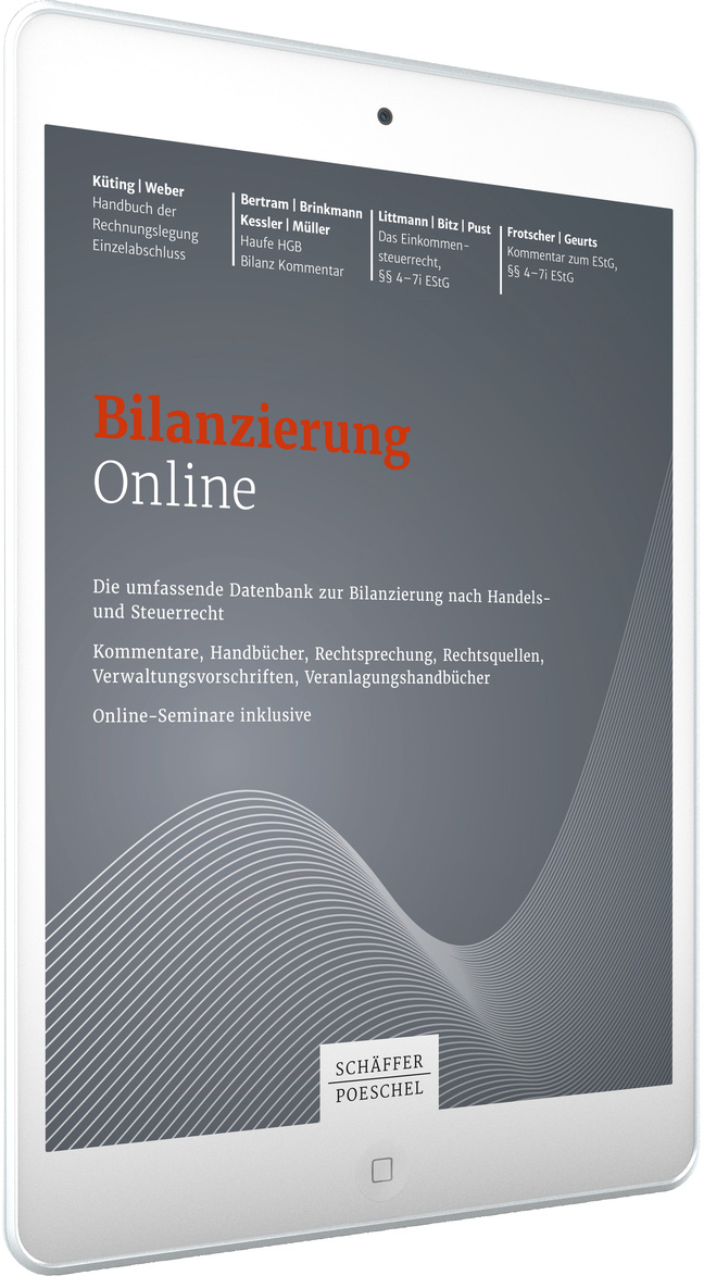 Bilanzierung Online