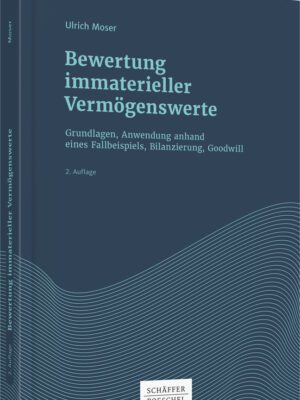 Bewertung immaterieller Vermögenswerte